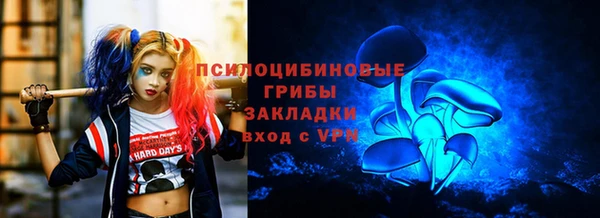 гидра Алзамай
