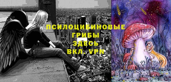 гидра Алзамай